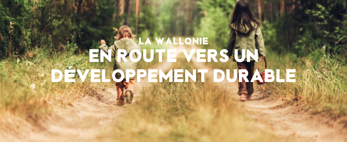 Wallonie - chemin de forêt - en route vers un développement durable 